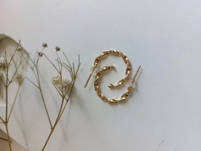 گوشواره طرح پیچک
